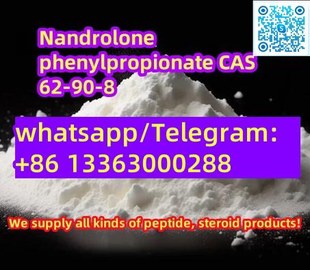 Nandrolone3-phenylpropionate cas 62-90-8