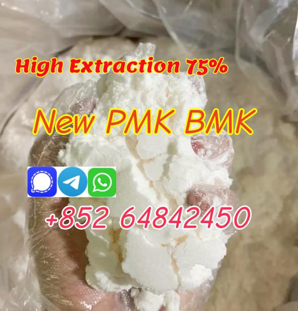 Why is PMK Bmk Powder Popular in Netherlands market ?