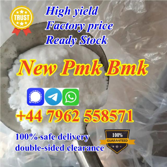 Dutch hot seller new bmk pmk powder with high purity best price fast dispatch