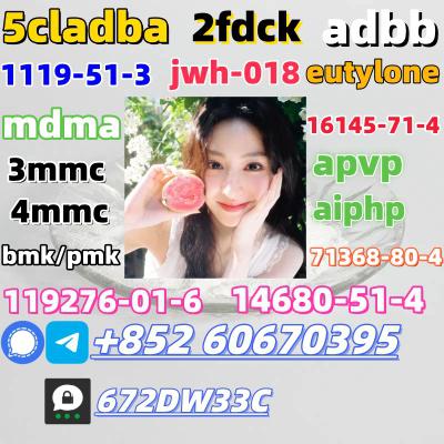 Safe delivery CAS 119276-01-6 China factory