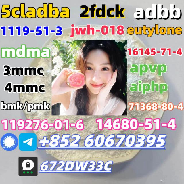 Safe delivery CAS 119276-01-6 China factory