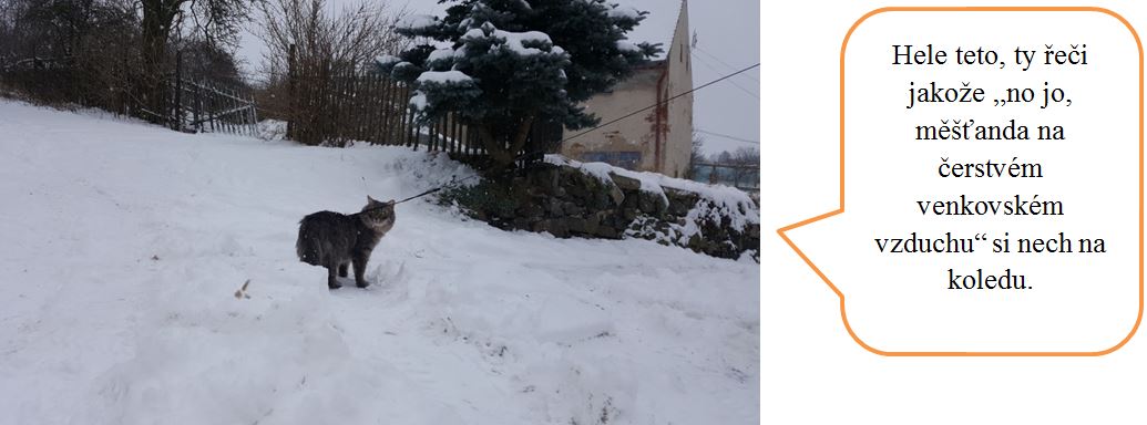 Jak jsme s DN podnikly vchovn vlet do steckho kraje  st obrazov.