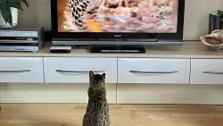 Jsem milovnice prodopisnch film &#128522;