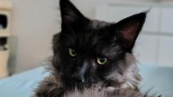 Jsem krasavec a v�m to o sob� 😁