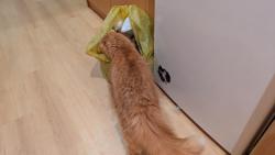 Pr� jsem bufe��k...