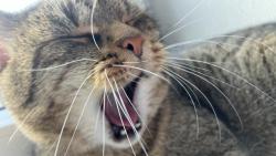 Hezk� dopoledne :)