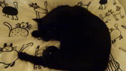 J� taky sn�m, ale o po��dn�m kusu �erstv�ho mas��ka.