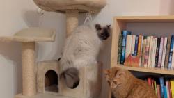 Pani�ce se poda�ilo vyfotit celou na�i sme�ku pohromad� 🙂