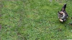 Dneska t� p�kn� pro�enu, Kry�p�no.