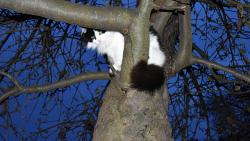 Stm�v�n� s Kry�p�nou.