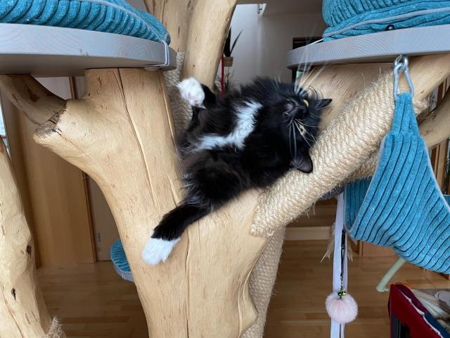 D�l�m blbosti :-)