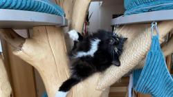 D�l�m blbosti :-)