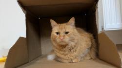 Paničce přišel balík, tak nám dala krabici