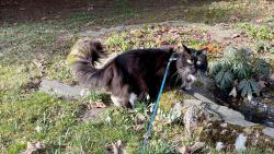 Jarn� z�ti�� :-)