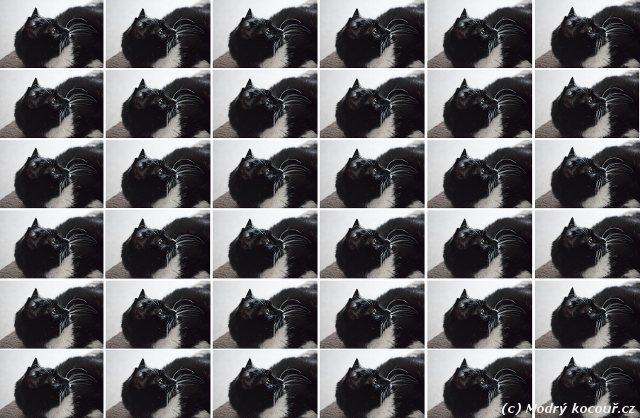 Kv�zou� 15: Najdi rozd�ln� pol��ko