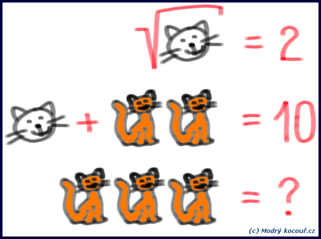 Kvízouř 2: Kočičí matematika