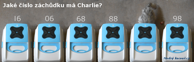 Kvízouř 5: Číselná řada