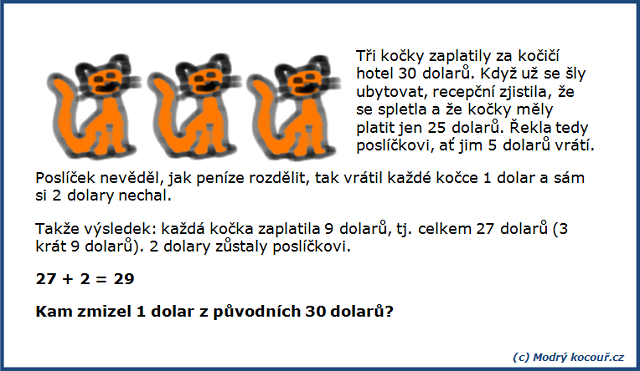 Kvízouř 7: Kočičí hotel