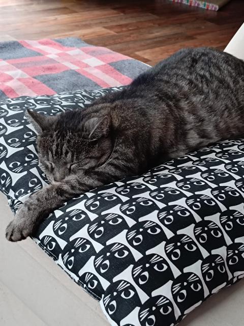 Bobina: Dma nemejd v komn, ale zaujm elegantn polohy na vhodnm pozad.