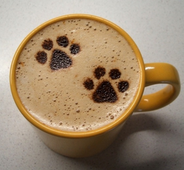 Koi latte art