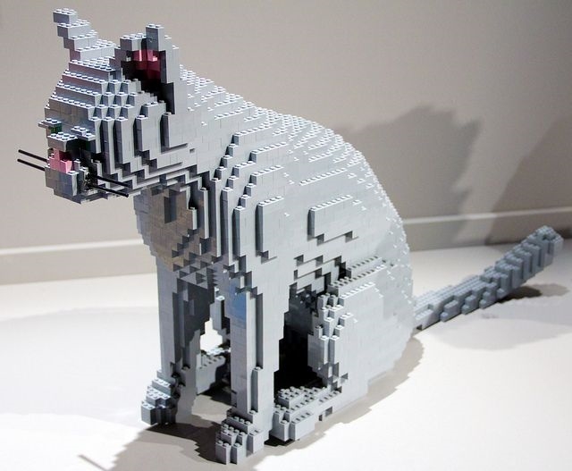 Lego koka