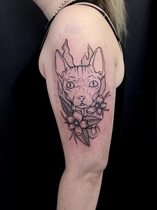 Koky v tetovacm salonu / Cats in Tattoo Salon