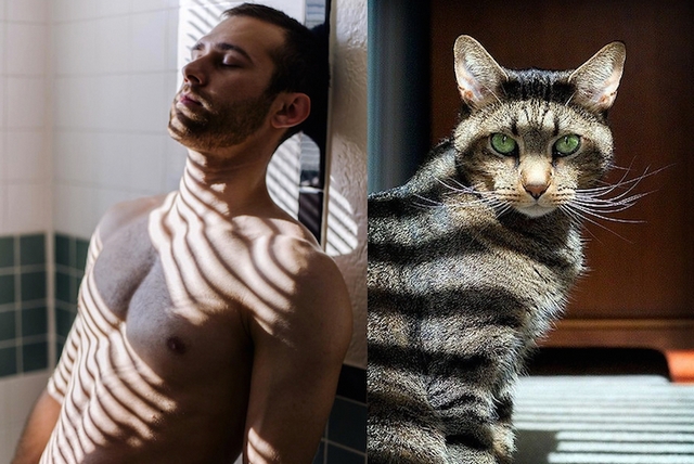 Mui versus koky / Men vs. cats