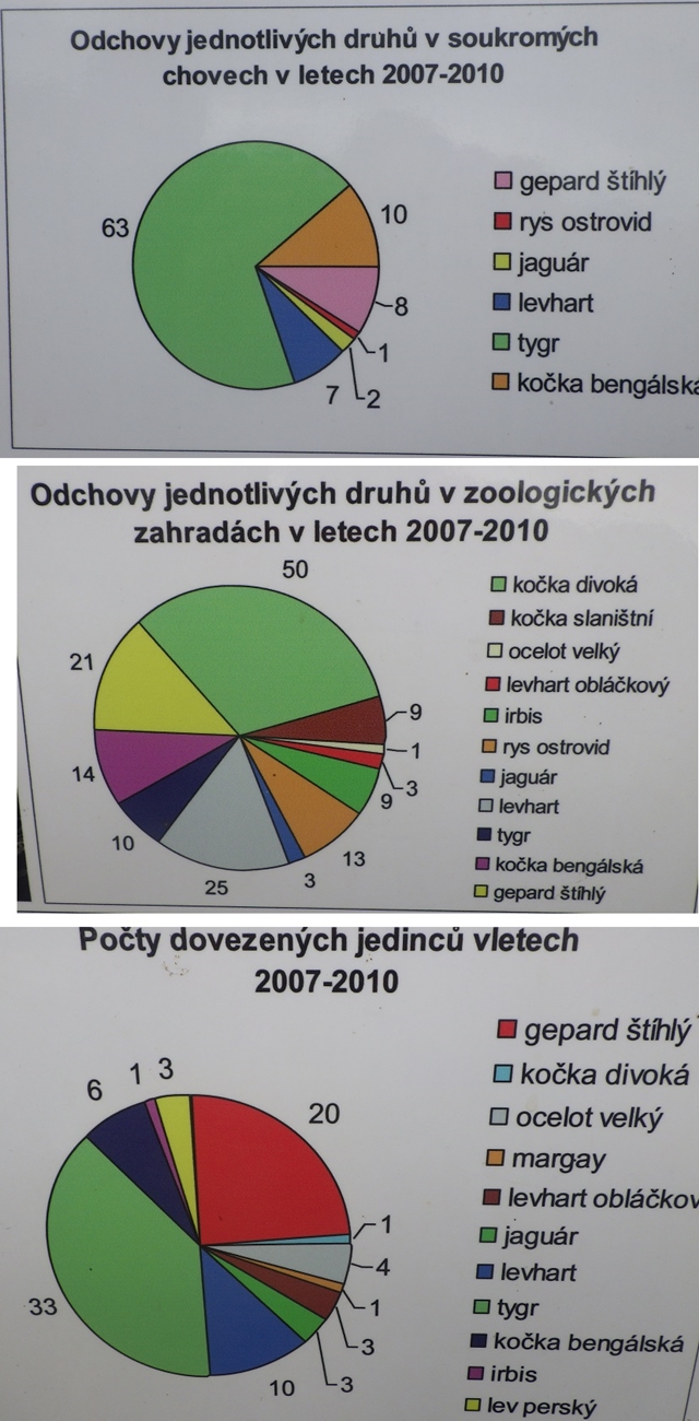 Nvtva v ZOO Tbor