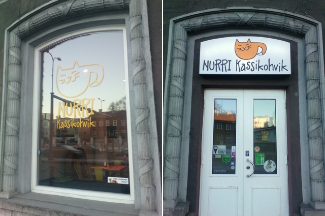 Koi kavrna, Cat Caf Nurri, Tallinn, Estonsko