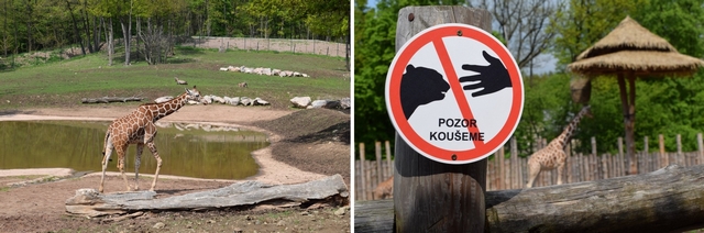 ZOO Brno - vkendov nvtva