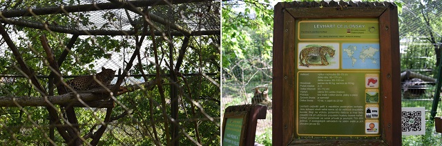 ZOO Brno - vkendov nvtva