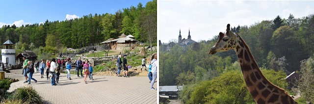 Nvtva v ZOO Jihlava