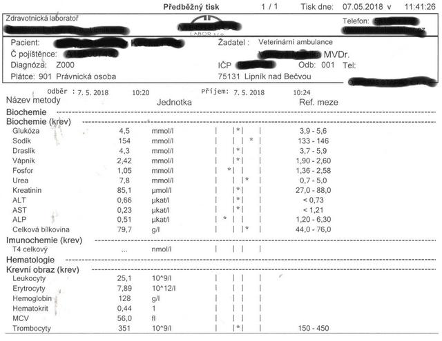 Veterinrn poradna: Kocourek hubne